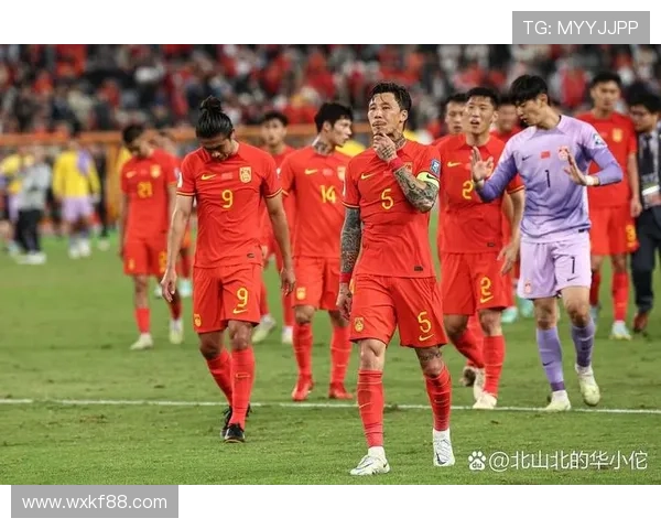 世界杯预选赛同排名（世界杯预选赛档次）sports